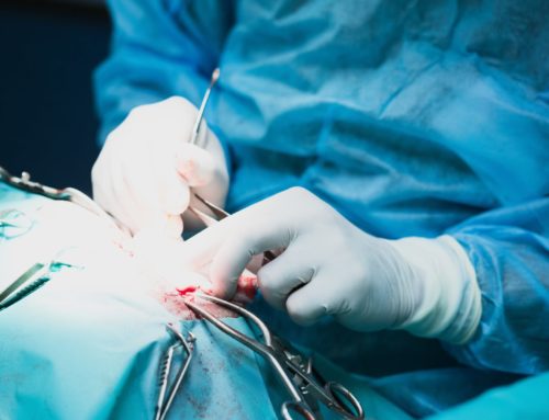 What Are the 5 Most Common Neurosurgery Procedures and When Do You Need Them?