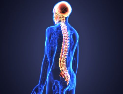 5 Easy Ways to Boost Your Spine Health Today