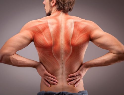 Do You Have a Middle Back Injury? How a Back Doctor Can Help